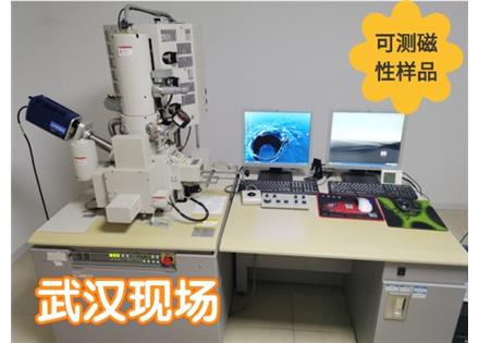 武汉场发射扫描电镜（现场/云现场预约）