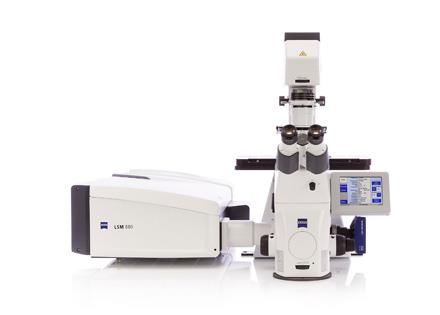 激光共聚焦显微镜（CLSM）（深圳）