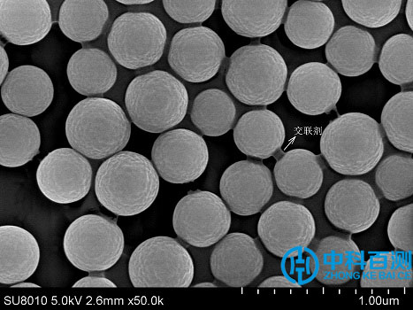 聚合物交联的纳米球案例1.jpg