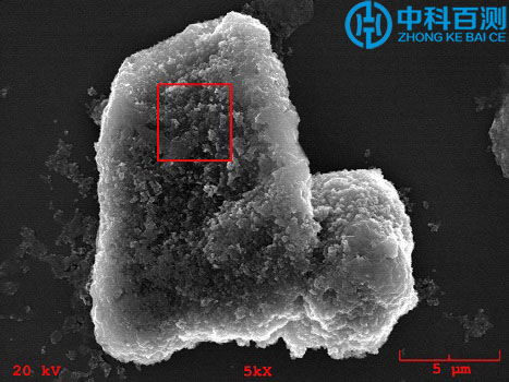 能谱点测形貌像案例1.jpg