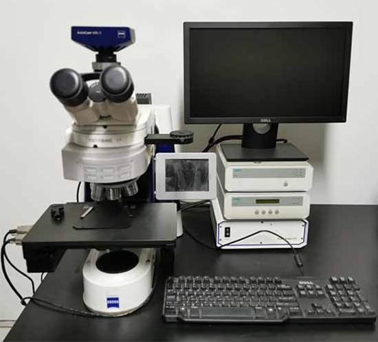 全自动光学显微镜现场预约